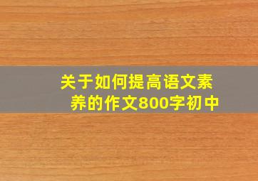 关于如何提高语文素养的作文800字初中