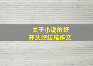 关于小说的好开头好结尾作文