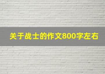 关于战士的作文800字左右