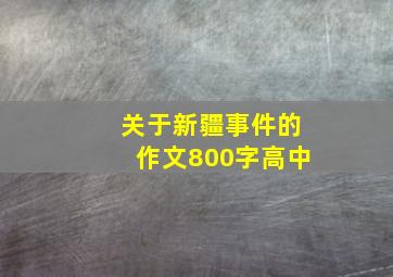 关于新疆事件的作文800字高中