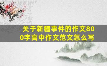 关于新疆事件的作文800字高中作文范文怎么写