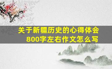 关于新疆历史的心得体会800字左右作文怎么写