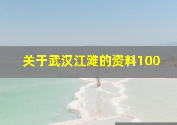 关于武汉江滩的资料100