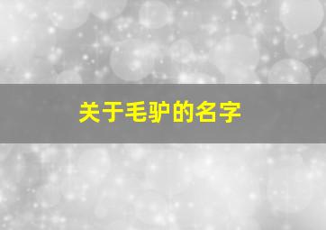 关于毛驴的名字