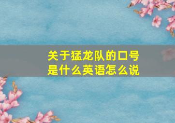 关于猛龙队的口号是什么英语怎么说