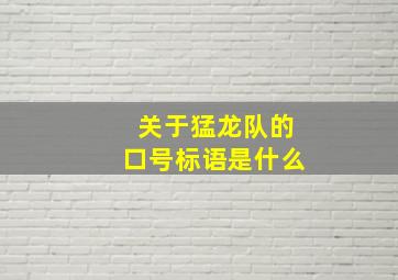 关于猛龙队的口号标语是什么