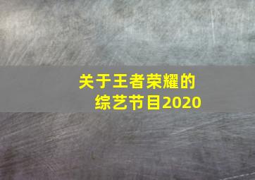 关于王者荣耀的综艺节目2020