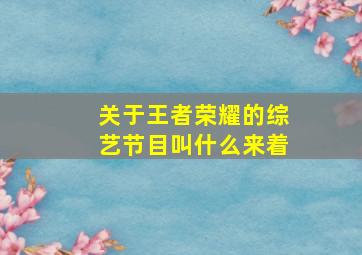 关于王者荣耀的综艺节目叫什么来着