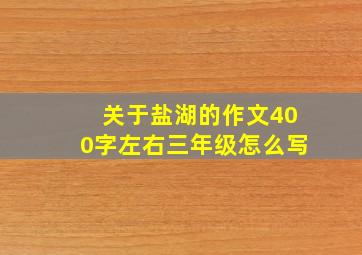 关于盐湖的作文400字左右三年级怎么写