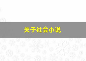 关于社会小说