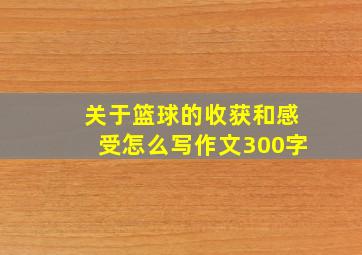 关于篮球的收获和感受怎么写作文300字