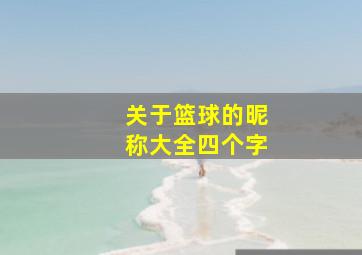 关于篮球的昵称大全四个字