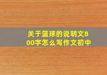 关于篮球的说明文800字怎么写作文初中