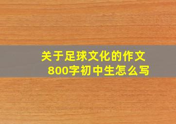 关于足球文化的作文800字初中生怎么写