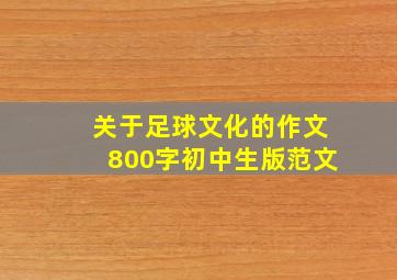 关于足球文化的作文800字初中生版范文