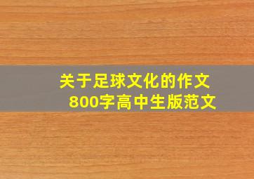 关于足球文化的作文800字高中生版范文