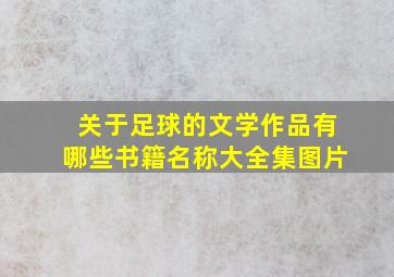 关于足球的文学作品有哪些书籍名称大全集图片