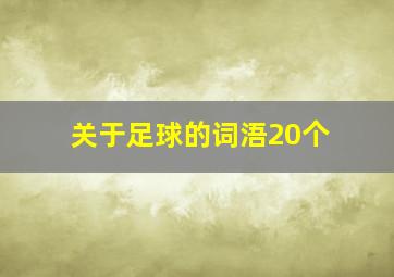 关于足球的词浯20个