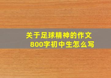 关于足球精神的作文800字初中生怎么写