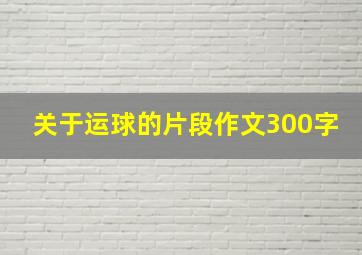 关于运球的片段作文300字