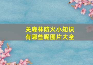 关森林防火小知识有哪些呢图片大全