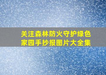 关注森林防火守护绿色家园手抄报图片大全集