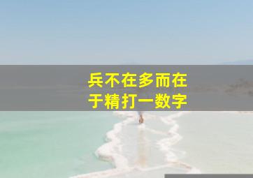 兵不在多而在于精打一数字