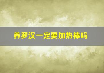 养罗汉一定要加热棒吗