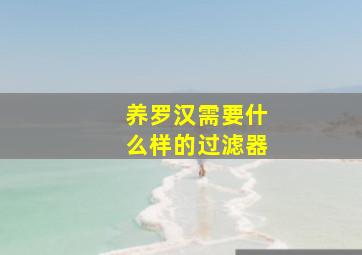 养罗汉需要什么样的过滤器