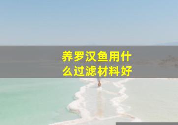 养罗汉鱼用什么过滤材料好