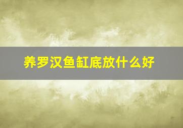 养罗汉鱼缸底放什么好