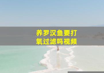 养罗汉鱼要打氧过滤吗视频