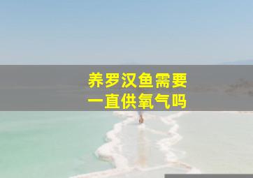 养罗汉鱼需要一直供氧气吗