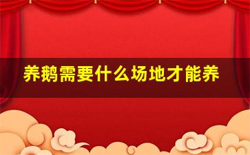 养鹅需要什么场地才能养