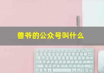 兽爷的公众号叫什么