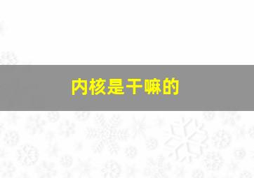 内核是干嘛的