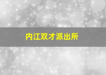 内江双才派出所