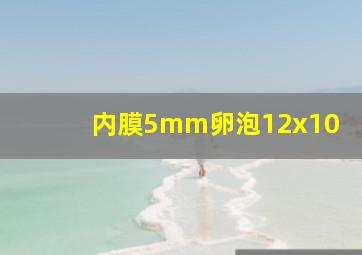 内膜5mm卵泡12x10