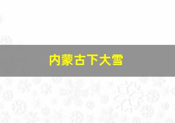 内蒙古下大雪