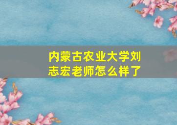 内蒙古农业大学刘志宏老师怎么样了