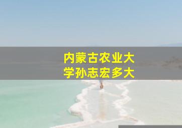 内蒙古农业大学孙志宏多大