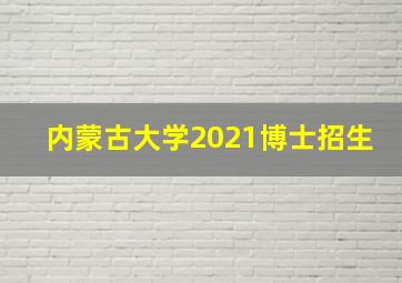 内蒙古大学2021博士招生