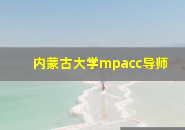 内蒙古大学mpacc导师