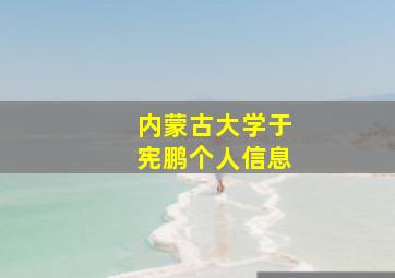 内蒙古大学于宪鹏个人信息