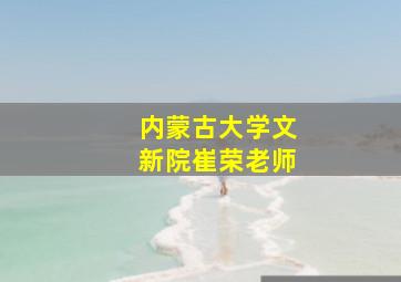 内蒙古大学文新院崔荣老师