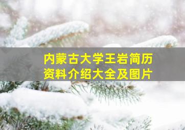 内蒙古大学王岩简历资料介绍大全及图片