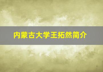 内蒙古大学王拓然简介