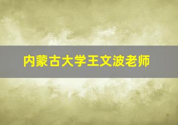 内蒙古大学王文波老师