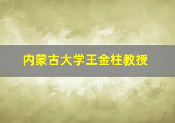 内蒙古大学王金柱教授