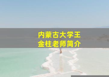 内蒙古大学王金柱老师简介